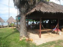 plage de Rabbit Island est bordée de cocotiers et de petites cabanes