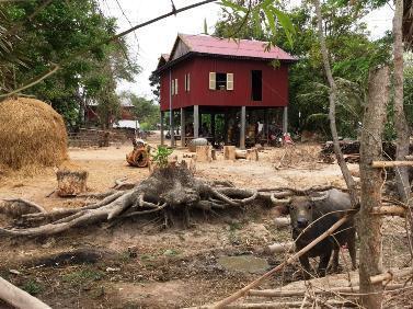 La Campagne au Cambodge